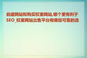 自建网站和购买权重网站,哪个更有利于SEO_权重网站出售平台有哪些可靠的选择