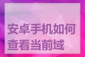 安卓手机如何查看当前域名