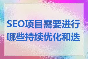 SEO项目需要进行哪些持续优化和迭代