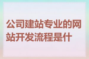 公司建站专业的网站开发流程是什么