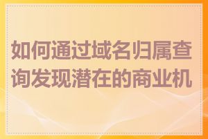 如何通过域名归属查询发现潜在的商业机会