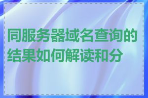 同服务器域名查询的结果如何解读和分析