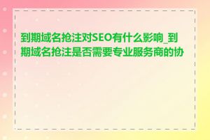 到期域名抢注对SEO有什么影响_到期域名抢注是否需要专业服务商的协助