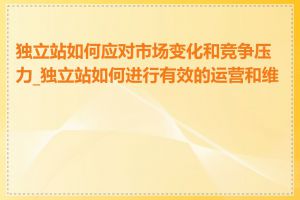 独立站如何应对市场变化和竞争压力_独立站如何进行有效的运营和维护