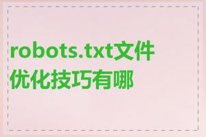 robots.txt文件优化技巧有哪些