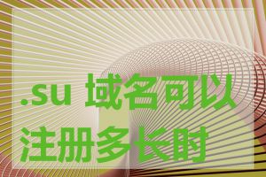 .su 域名可以注册多长时间