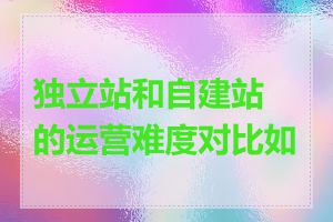 独立站和自建站的运营难度对比如何