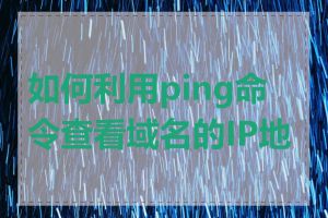 如何利用ping命令查看域名的IP地址