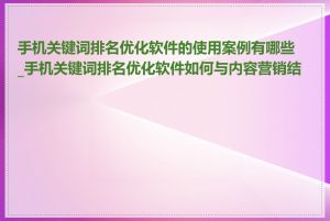 手机关键词排名优化软件的使用案例有哪些_手机关键词排名优化软件如何与内容营销结合