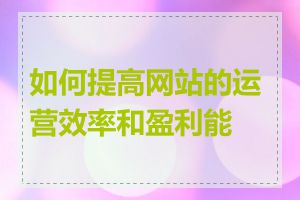 如何提高网站的运营效率和盈利能力