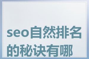 seo自然排名的秘诀有哪些