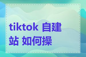 tiktok 自建站 如何操作