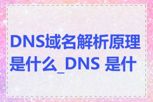 DNS域名解析原理是什么_DNS 是什么