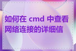 如何在 cmd 中查看网络连接的详细信息