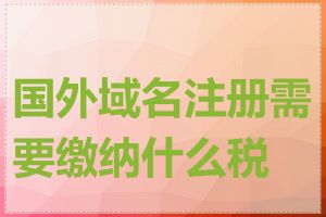 国外域名注册需要缴纳什么税费