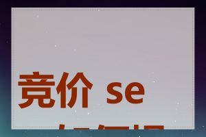 竞价 seo 如何操作