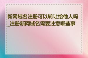 新网域名注册可以转让给他人吗_注册新网域名需要注意哪些事项