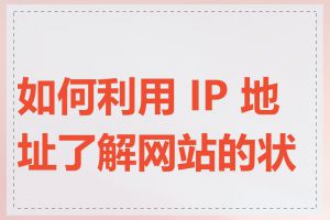 如何利用 IP 地址了解网站的状态