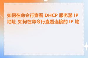 如何在命令行查看 DHCP 服务器 IP 地址_如何在命令行查看连接的 IP 地址