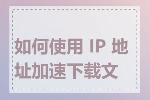 如何使用 IP 地址加速下载文件