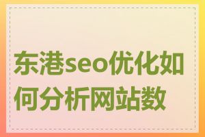 东港seo优化如何分析网站数据