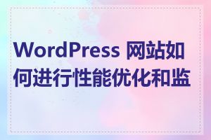 WordPress 网站如何进行性能优化和监控