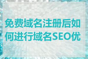 免费域名注册后如何进行域名SEO优化