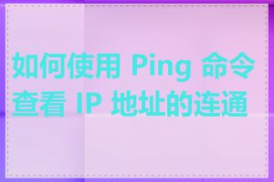 如何使用 Ping 命令查看 IP 地址的连通性