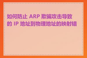 如何防止 ARP 欺骗攻击导致的 IP 地址到物理地址的映射错误