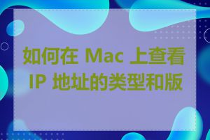 如何在 Mac 上查看 IP 地址的类型和版本