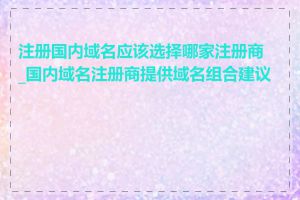 注册国内域名应该选择哪家注册商_国内域名注册商提供域名组合建议吗