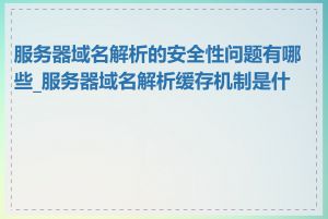 服务器域名解析的安全性问题有哪些_服务器域名解析缓存机制是什么