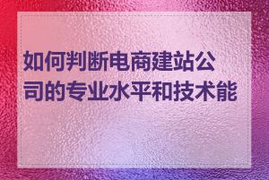 如何判断电商建站公司的专业水平和技术能力