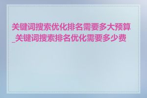 关键词搜索优化排名需要多大预算_关键词搜索排名优化需要多少费用