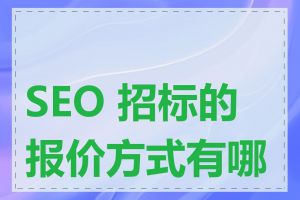 SEO 招标的报价方式有哪些