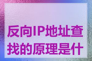 反向IP地址查找的原理是什么