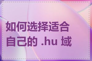 如何选择适合自己的 .hu 域名