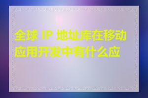 全球 IP 地址库在移动应用开发中有什么应用