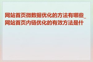 网站首页微数据优化的方法有哪些_网站首页内链优化的有效方法是什么