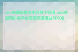 seo关键词排名平台哪个好用_seo关键词排名平台需要掌握哪些SEO知识