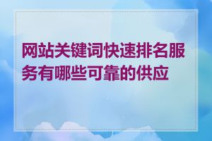 网站关键词快速排名服务有哪些可靠的供应商