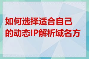 如何选择适合自己的动态IP解析域名方案