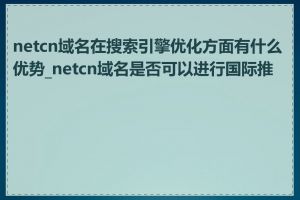 netcn域名在搜索引擎优化方面有什么优势_netcn域名是否可以进行国际推广