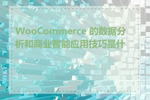 WooCommerce 的数据分析和商业智能应用技巧是什么