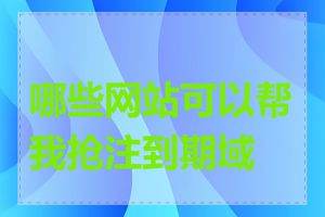 哪些网站可以帮我抢注到期域名