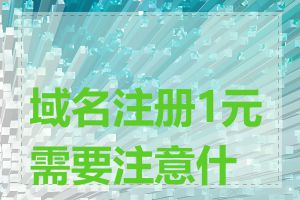 域名注册1元需要注意什么