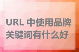 URL 中使用品牌关键词有什么好处