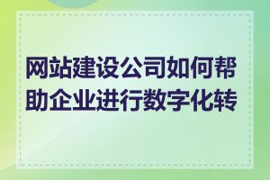 网站建设公司如何帮助企业进行数字化转型