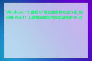 Windows 11 查看 IP 地址的多种方法介绍_如何在 Win11 上查找局域网内其他设备的 IP 地址