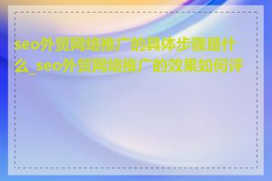 seo外贸网络推广的具体步骤是什么_seo外贸网络推广的效果如何评估